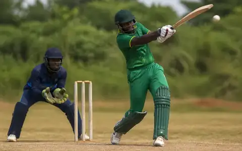 Cricket match moment 1