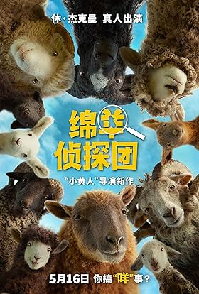 热门电影 20